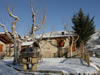 Bungalows en la Cerdanya