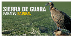 Rural Tourism in the Sierra de Guara