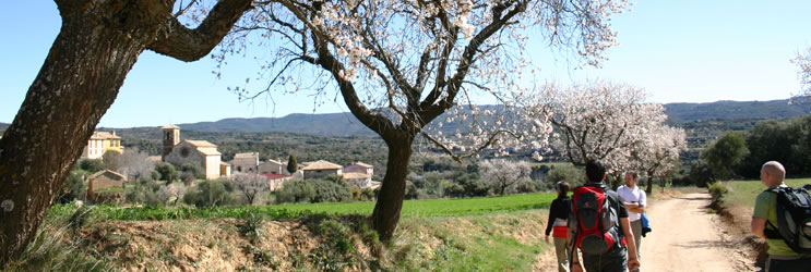 Naturaleza y gastronomía en Guara