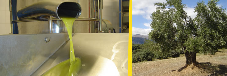 Naturaleza y gastronomía en Guara