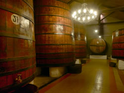 Bodegas D.O. Somontano