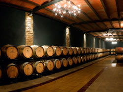 Visita a bodegas D.O. Somontano