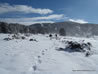 Raquetas de nieve en el Pirineo Catalán