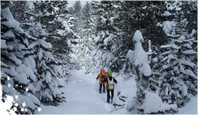 Rutas con raquetas de nieve en la Cerdanya