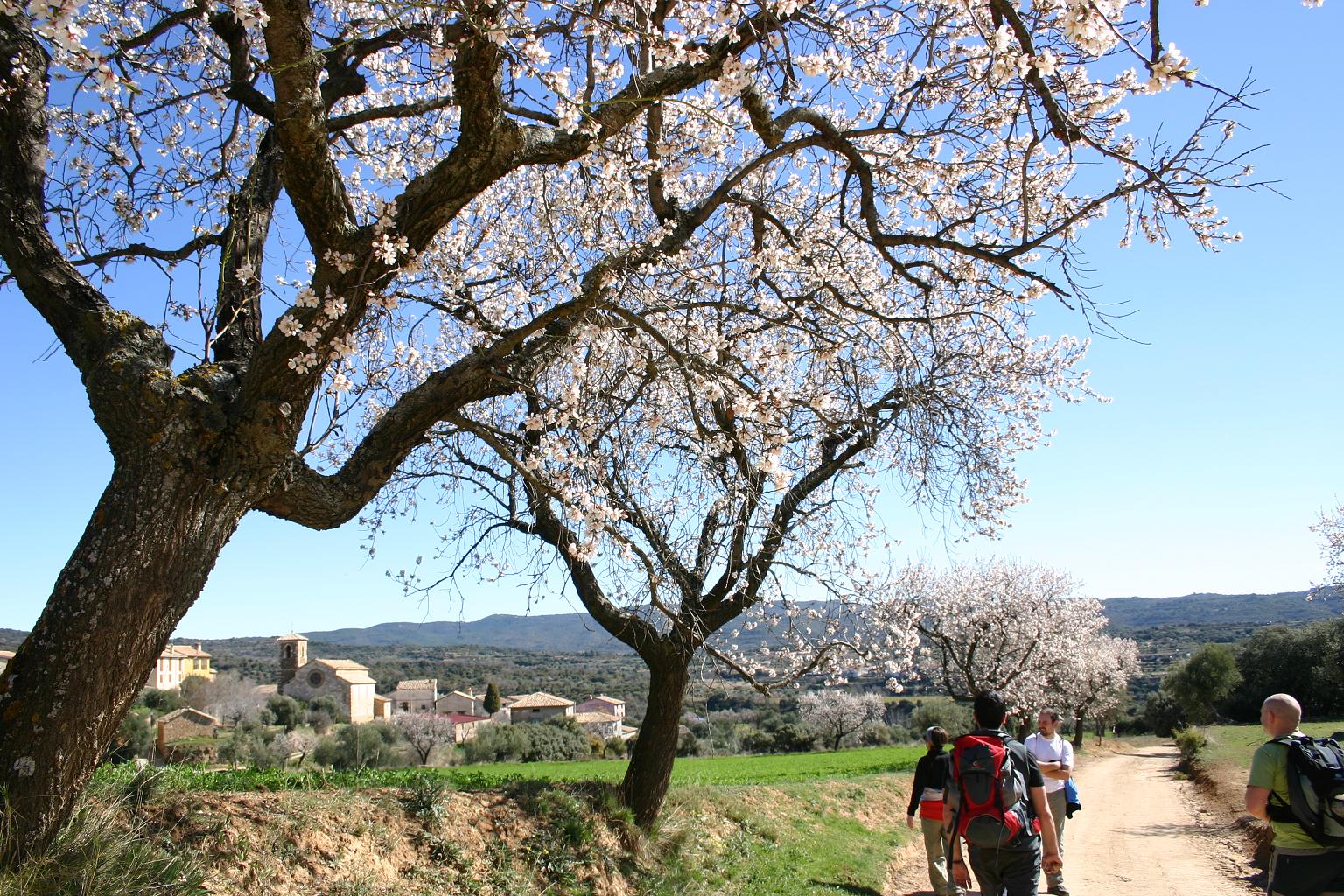 Senderismo Sierra de Guara