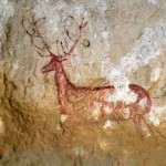 G-ciervo-Chimiachas-rupestre