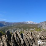 b996c256edc55cbc48354a8f1ca51d6d