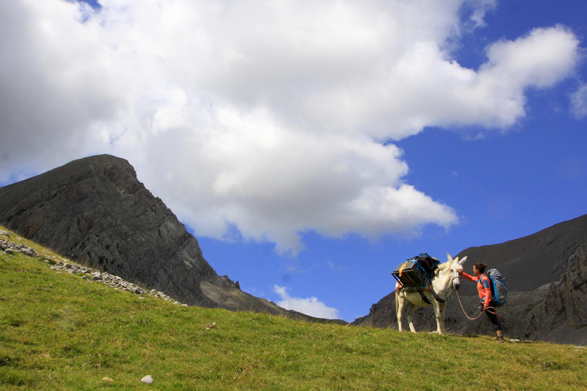 Trekking con Mulas en Familia